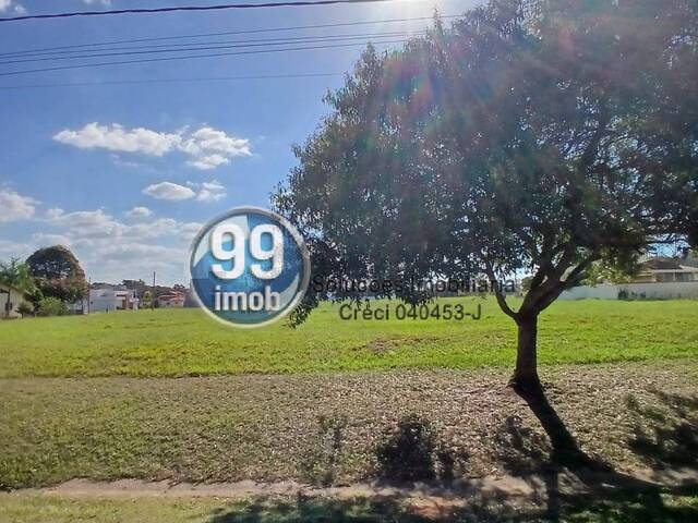 #437 - Área para Venda em Pardinho - SP