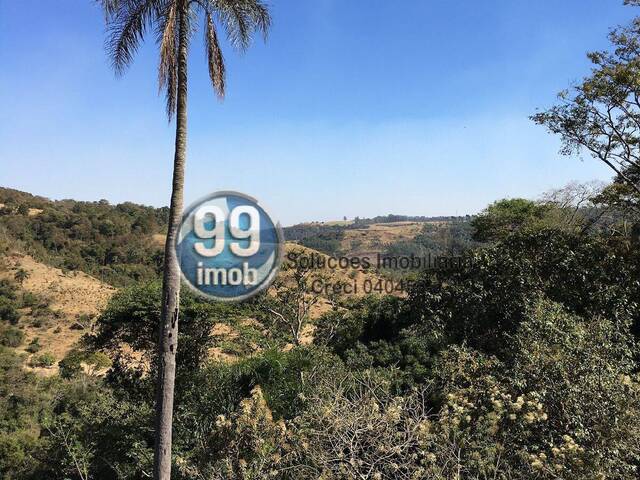 #501 - Chácara para Venda em Pardinho - SP - 1