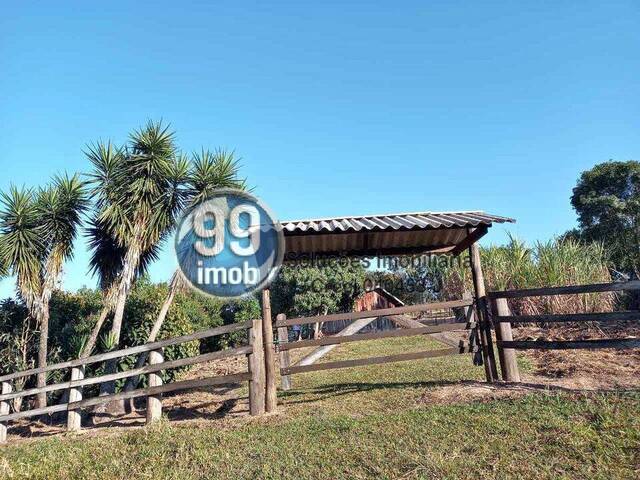 #502 - Chácara para Venda em Torre de Pedra - SP - 1