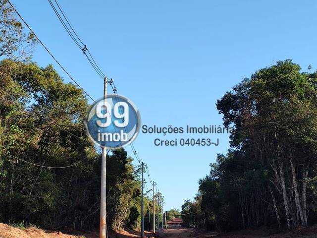 #532 - Área para Venda em Pardinho - SP - 2