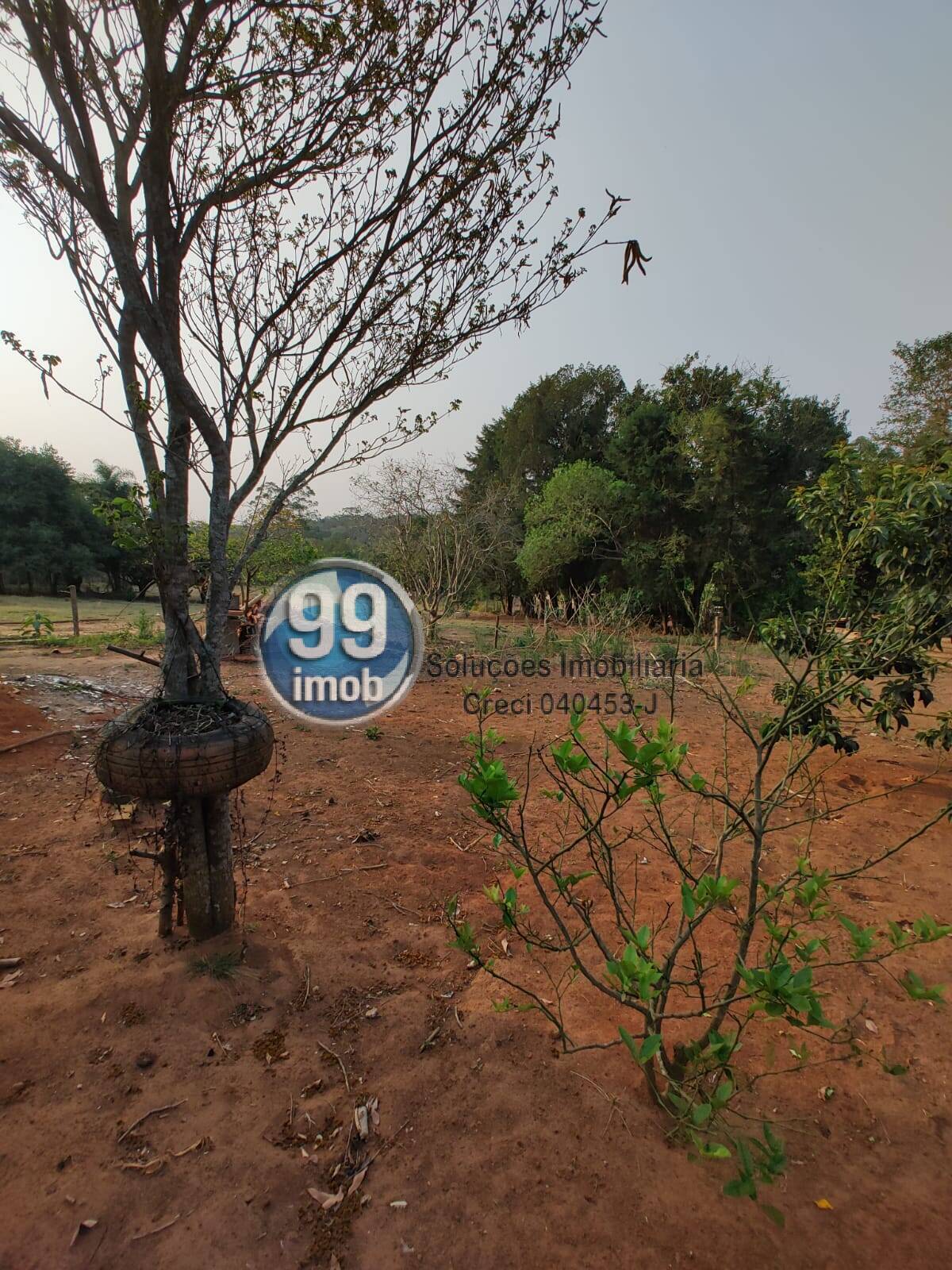 Fazenda à venda com 2 quartos, 120m² - Foto 23