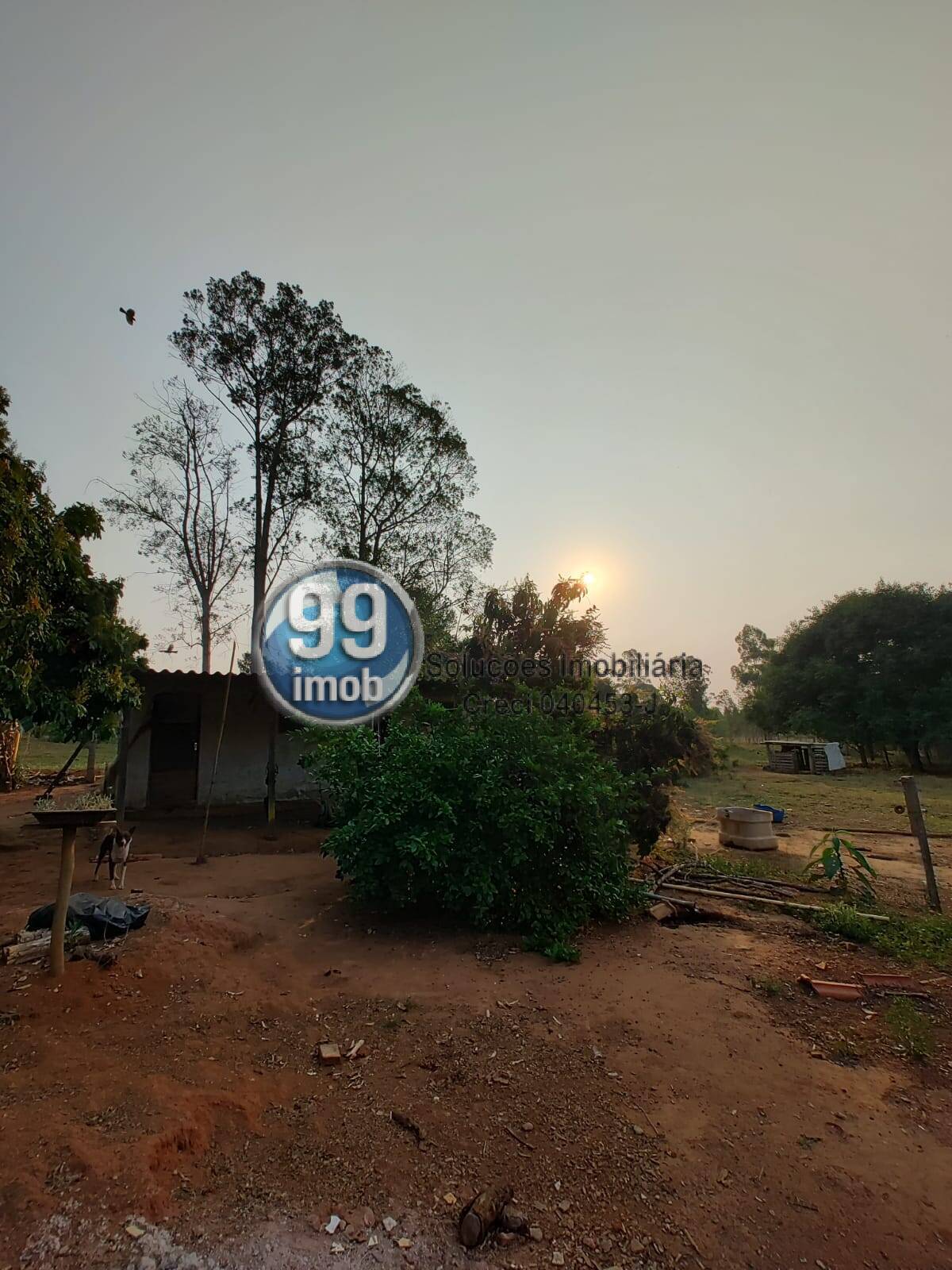 Fazenda à venda com 2 quartos, 120m² - Foto 21