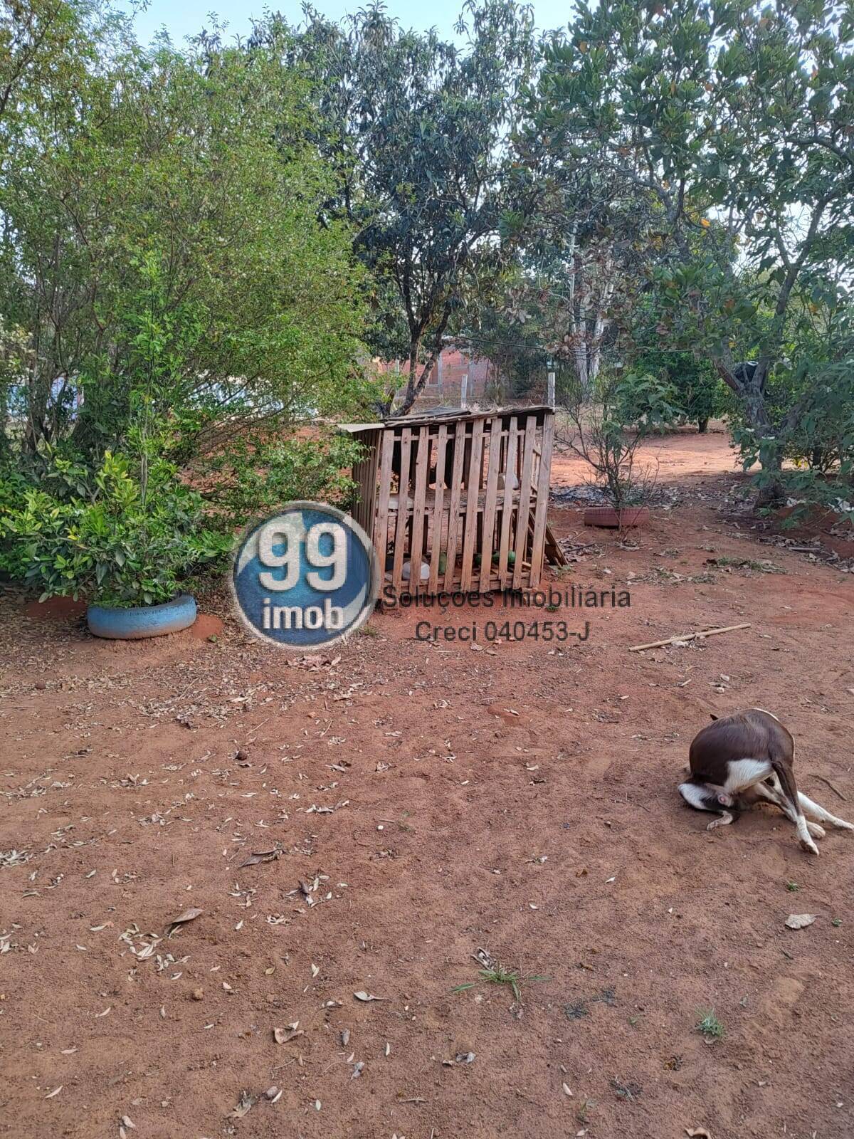 Fazenda à venda com 2 quartos, 120m² - Foto 24