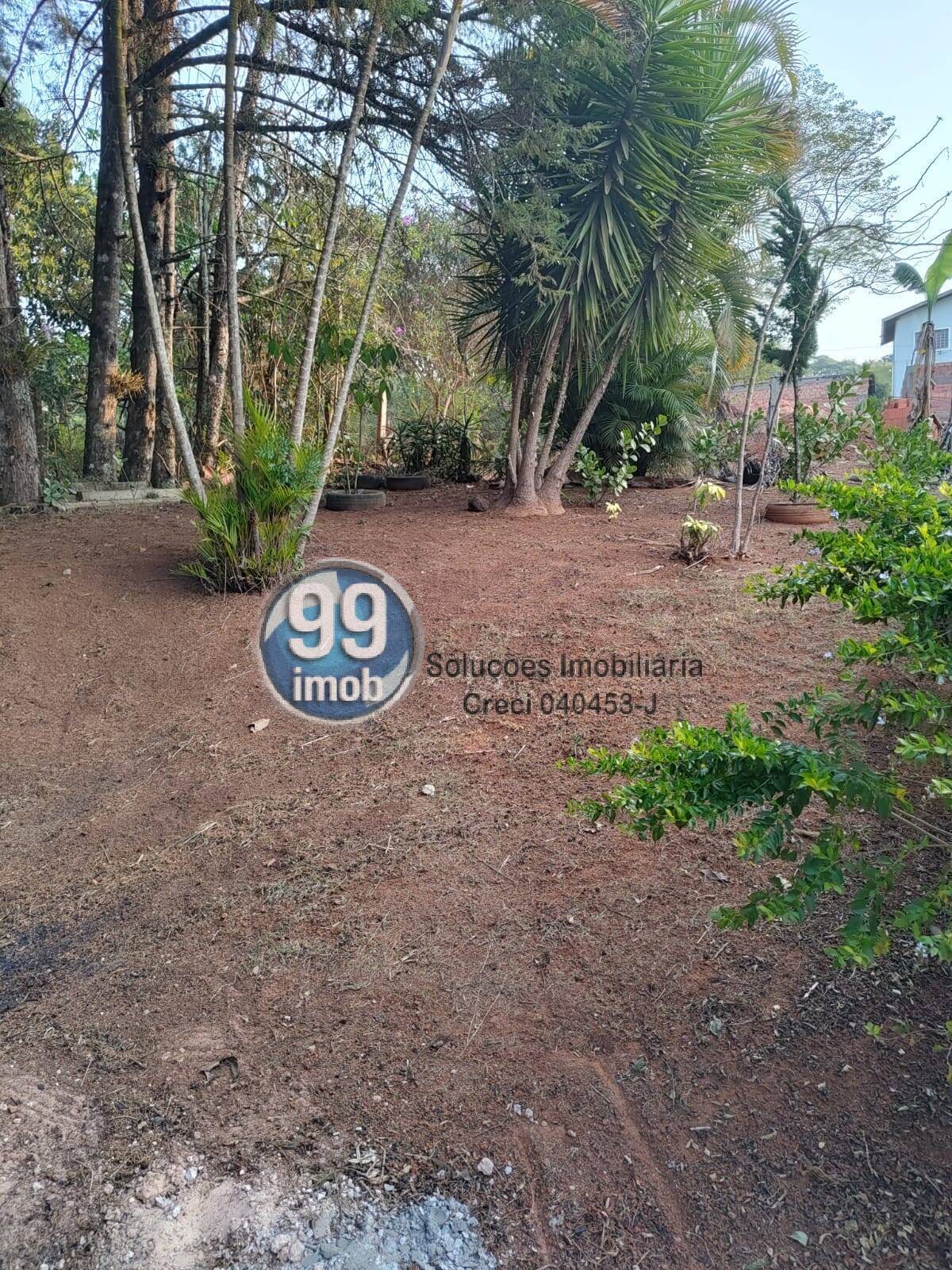 Fazenda à venda com 2 quartos, 120m² - Foto 31