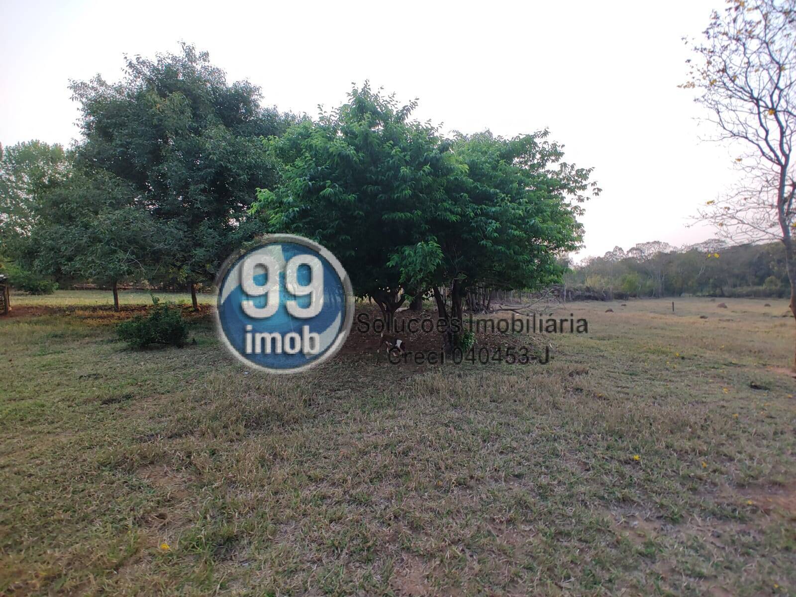 Fazenda à venda com 2 quartos, 120m² - Foto 36