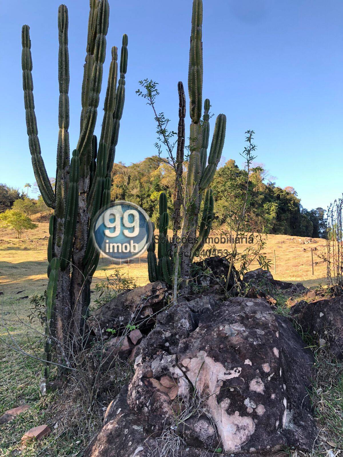 Terreno à venda, 62900m² - Foto 3